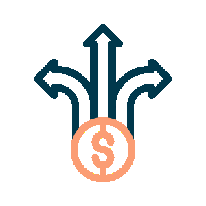 Revenue Opportunities